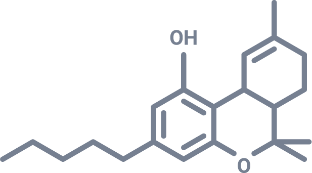 THC Colour Icon